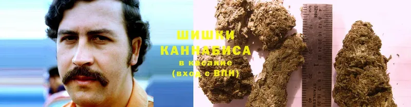 Бошки Шишки Ganja  где купить наркоту  Дубовка 